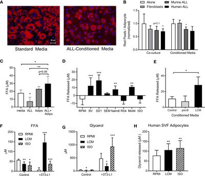 Adipocytes Provide Fatty Acids to Acute Lymphoblastic Leukemia Cells